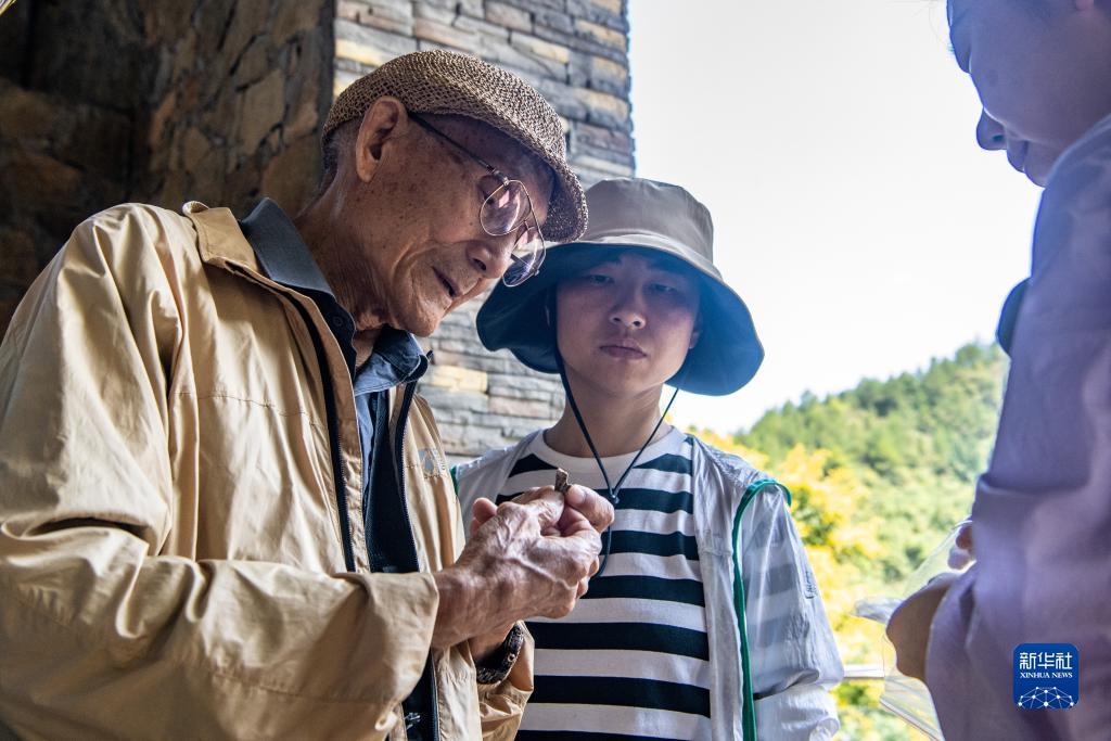 大白菜注册送礼金平台